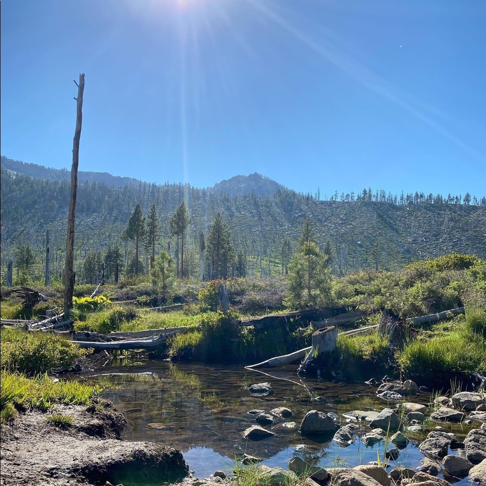 Meet your Posher, Terri